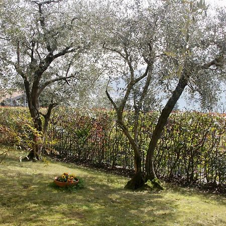 Sarnico Giardino Sul Lago Exterior foto
